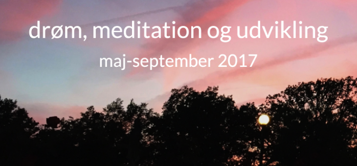 Sommer-drømme-kursus